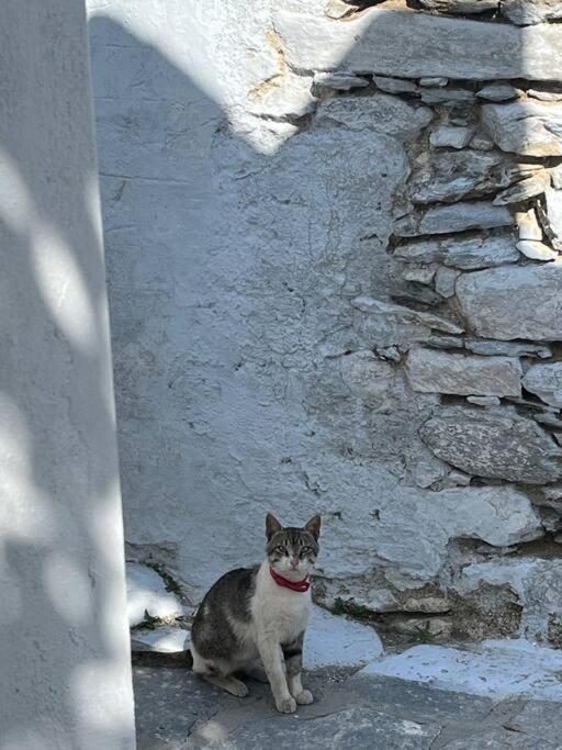 Dream House Little Villa - Amorgos Bagian luar foto