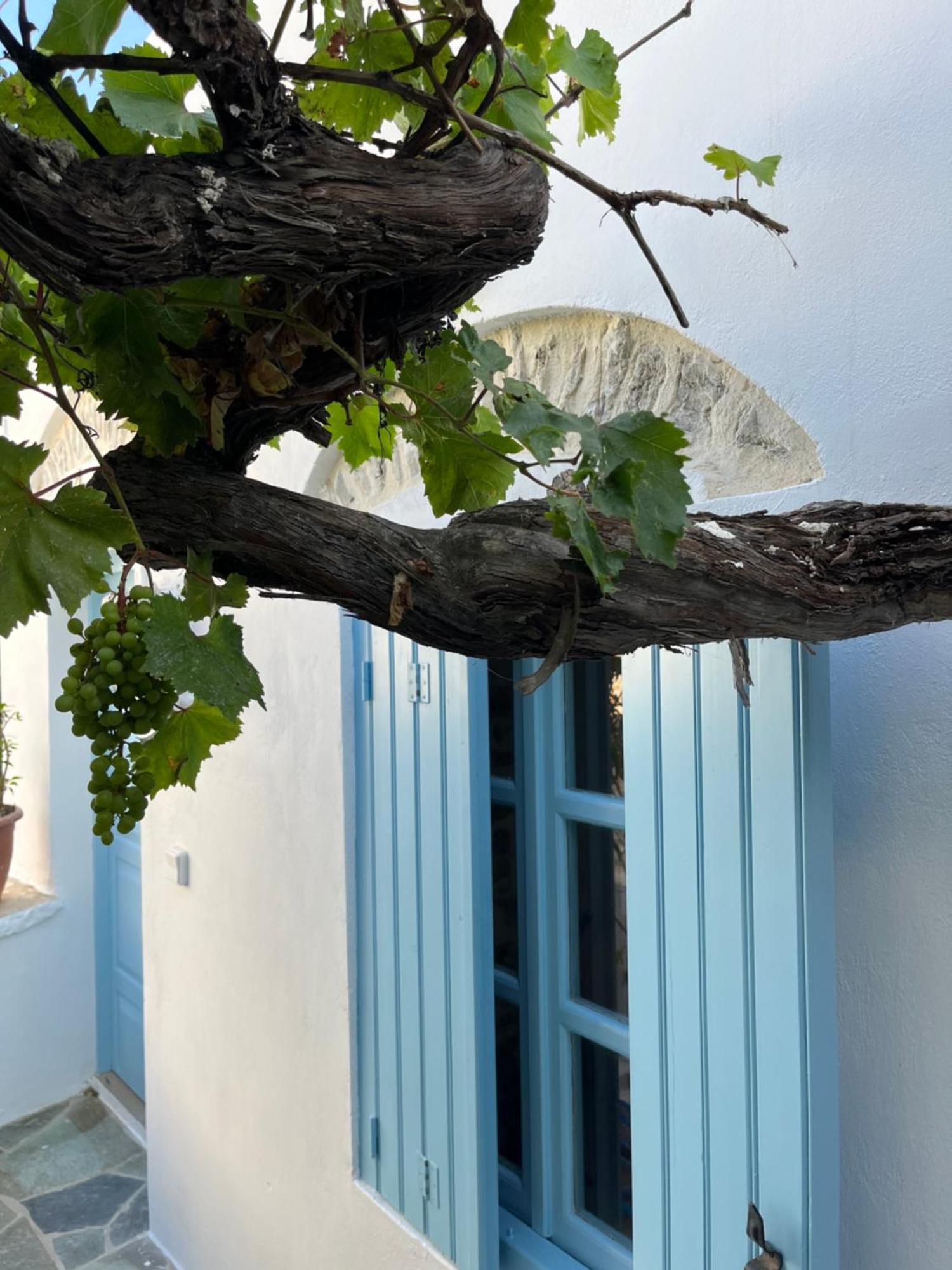 Dream House Little Villa - Amorgos Bagian luar foto